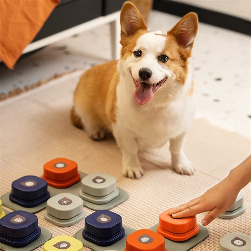 4-colors-pet-communication-button-vocal-training-interactive-toy-bell-ringer-with-pad-and-sticker