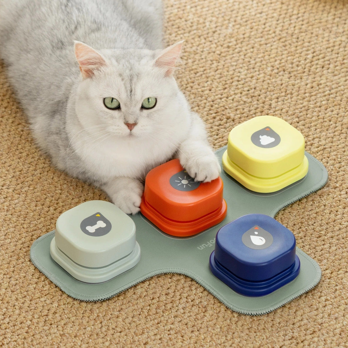 4-colors-pet-communication-button-vocal-training-interactive-toy-bell-ringer-with-pad-and-sticker