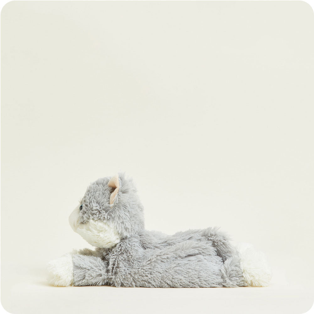 laying-down-gray-cat-Fivira