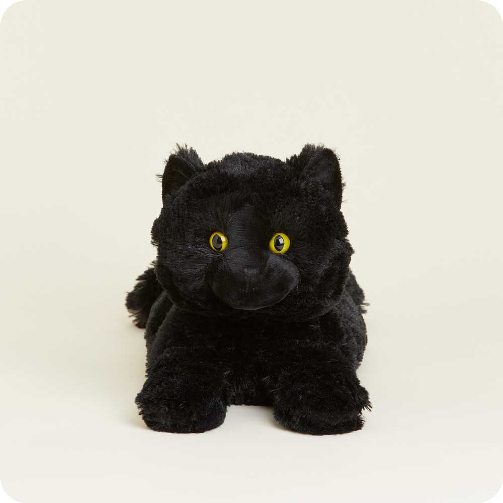 black-cat-Fivira