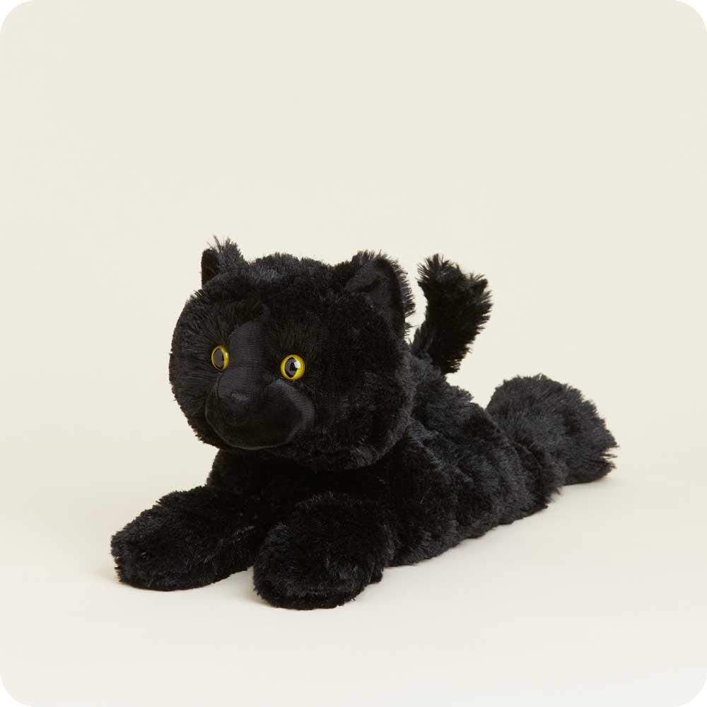 black-cat-Fivira