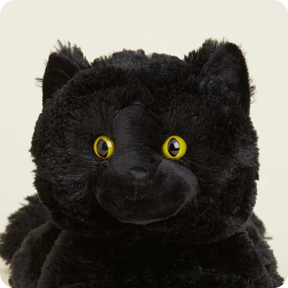 black-cat-Fivira