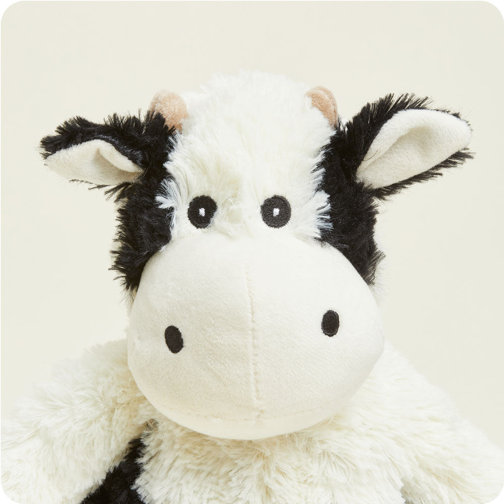 black-and-white-cow-Fivira