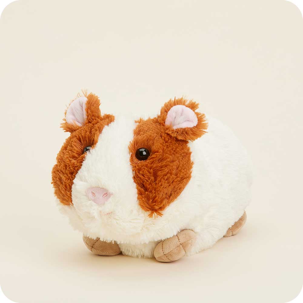 guinea-pig-Fivira