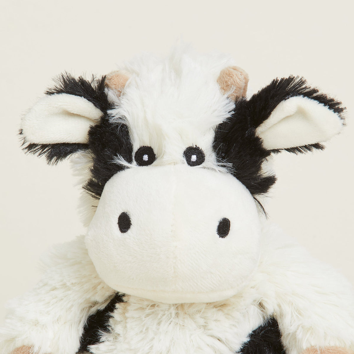 black-and-white-cow-Fivira-junior