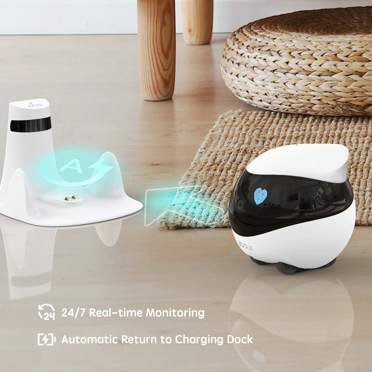 companion-robot-for-pets-kids-and-adult