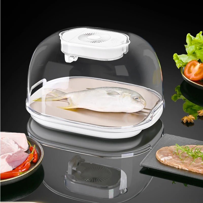 defrosting-machine-preservation-and-defrosting-tray-for-frozen-meat