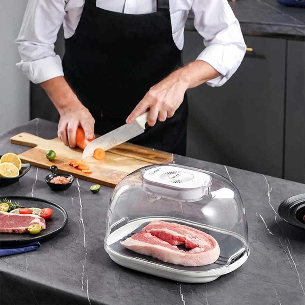 defrosting-machine-preservation-and-defrosting-tray-for-frozen-meat