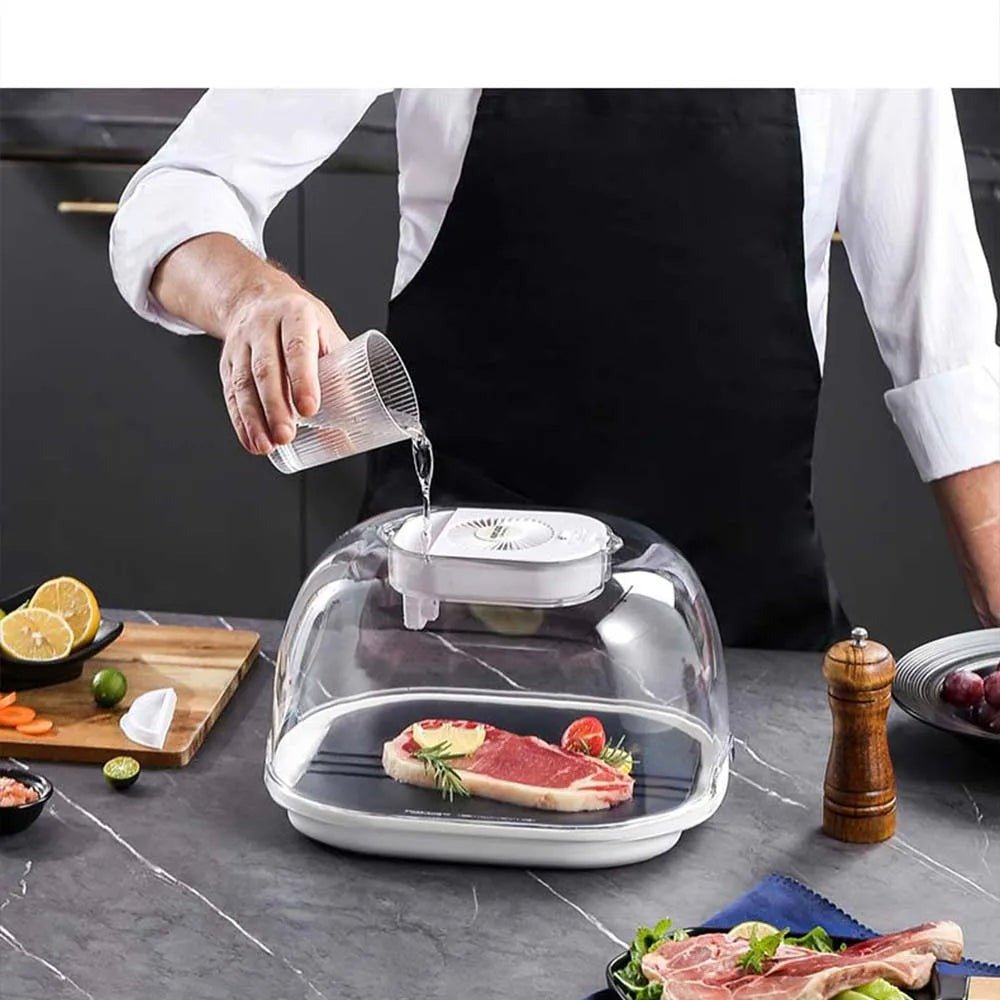 defrosting-machine-preservation-and-defrosting-tray-for-frozen-meat