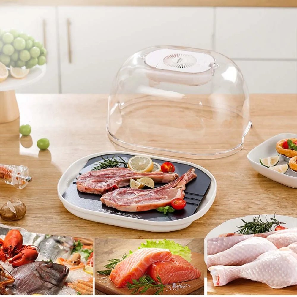 defrosting-machine-preservation-and-defrosting-tray-for-frozen-meat