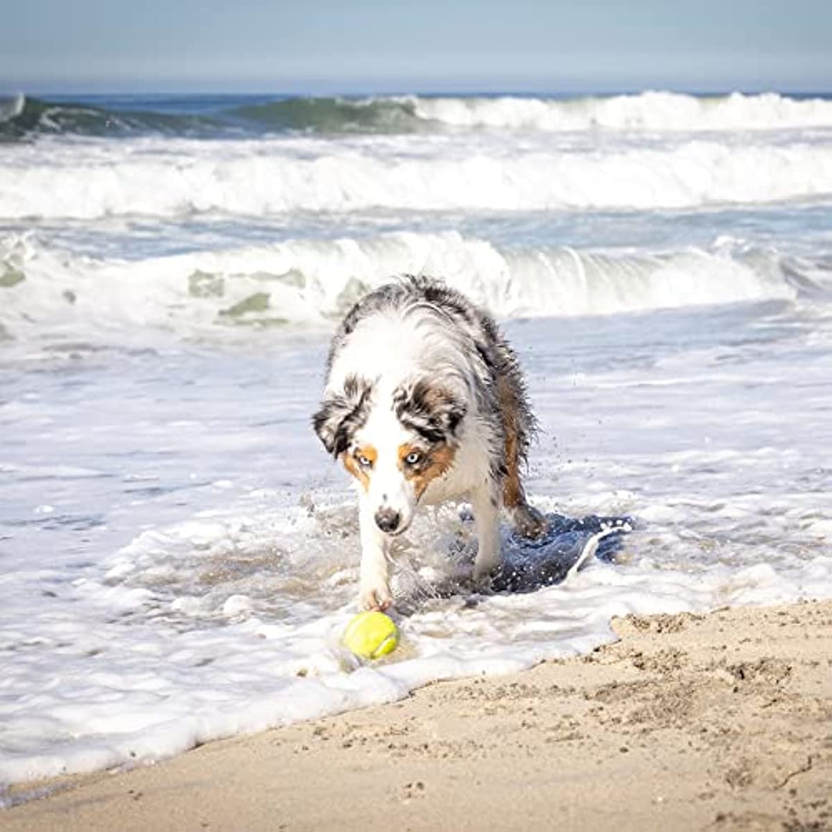 dog-ball-launcher-interactive-ball-thrower-load-launch-tennis-balls-for-dogs