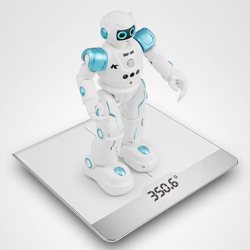 gesture-sensing-smart-robot-toy-for-kids-birthday-gift-present