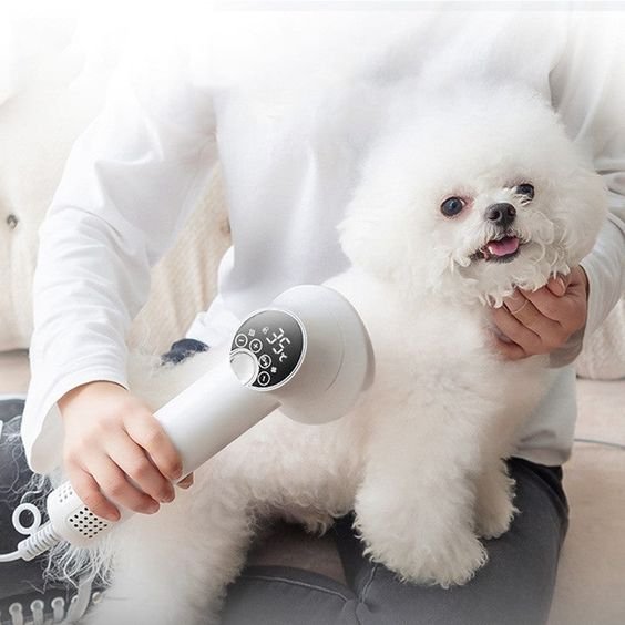 smart-pet-hair-dryer-dog-golden-retriever-cat-grooming-hairdressing-blow-comb